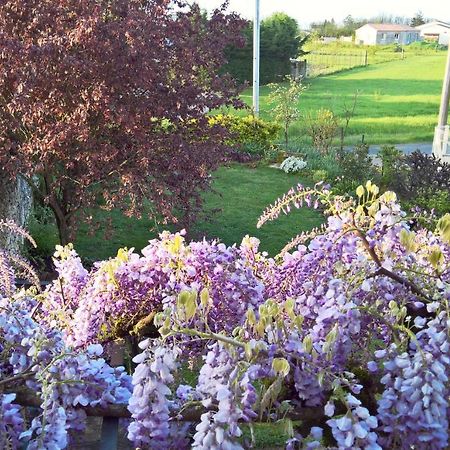 Les Glycines Bed & Breakfast Eymet Bagian luar foto