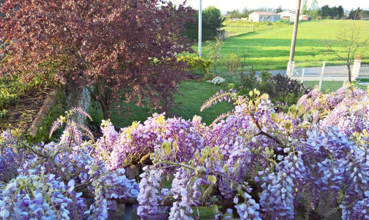 Les Glycines Bed & Breakfast Eymet Bagian luar foto